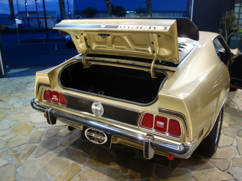 即決！　1/18　エーデルブロック・マスタング マッハ1 フォード マスタング マッハ1 351ci 正規輸入ディーラー車 エーデル