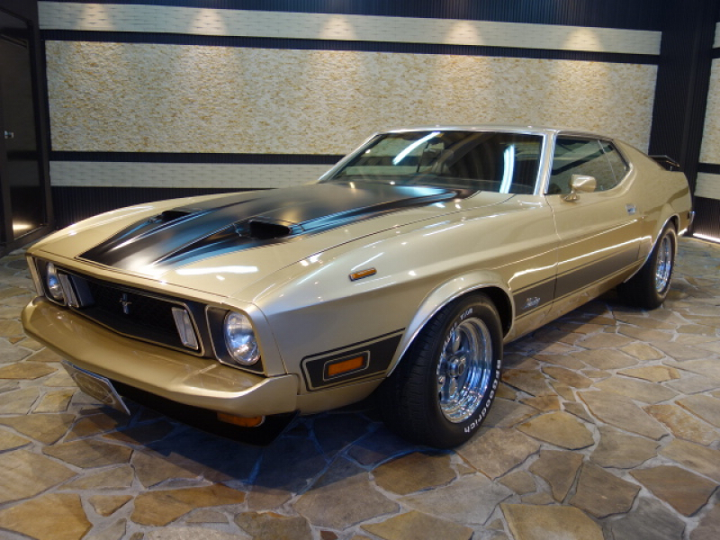 不動車引取限定フォードマスタングビーチクルーザー